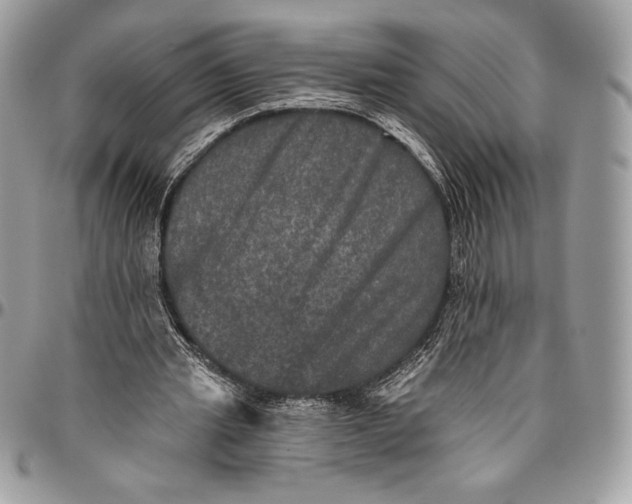 X0000094790437200712071232