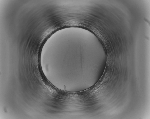 X0000094790438200712071232