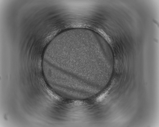 X0000094790441200712071232