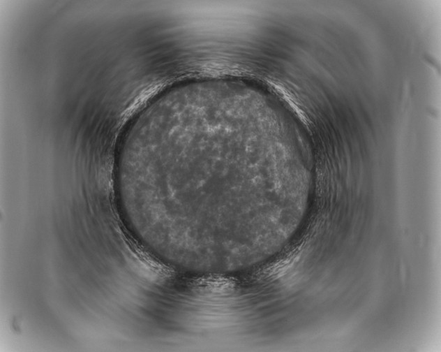 X0000094790443200712071232