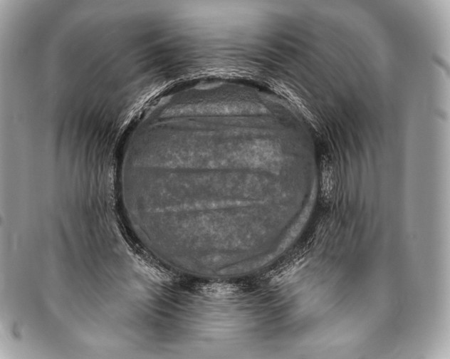 X0000094790444200712071232