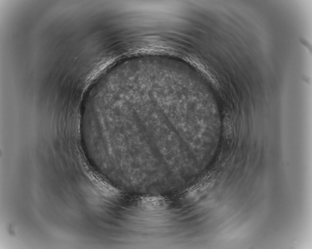 X0000094790446200712071232