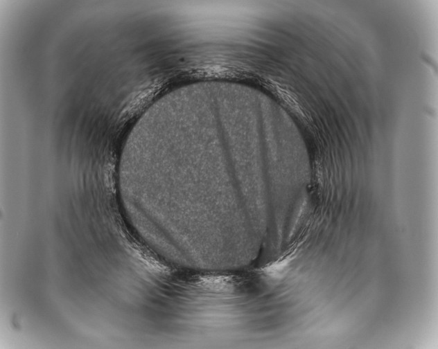 X0000094790450200712071232