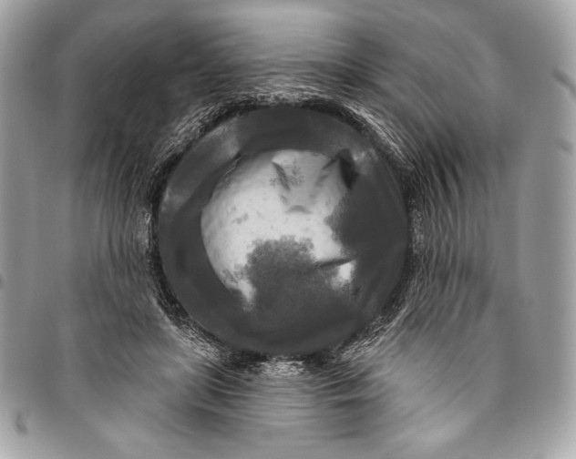 X0000094790451200712071232