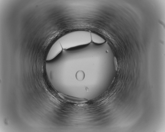 X0000094790452200712071232