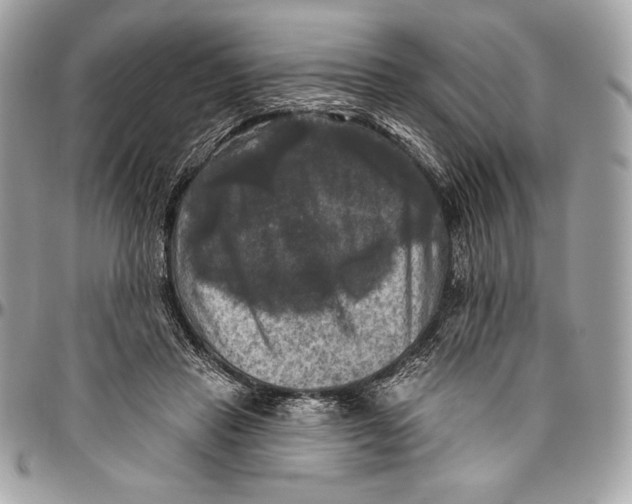 X0000094790453200712071232