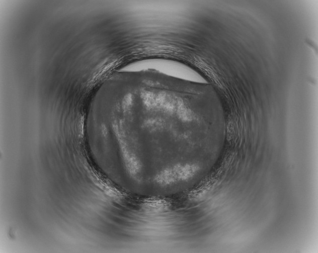 X0000094790454200712071232