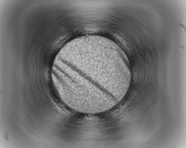 X0000094790455200712071232