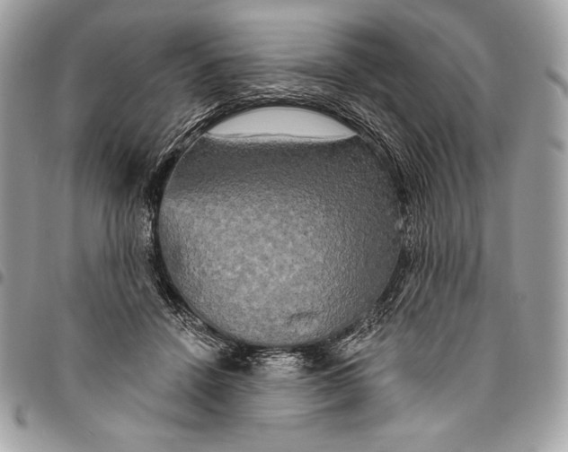 X0000094790456200712071232