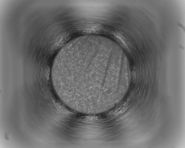 X0000094790458200712071232