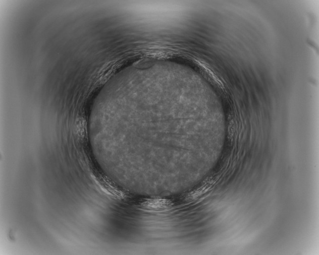 X0000094790459200712071232