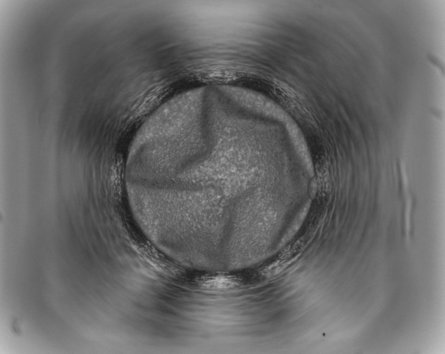 X0000094790460200712071232