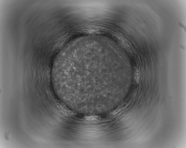 X0000094790461200712071232