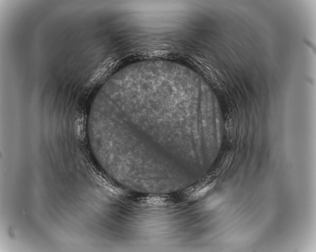 X0000094790462200712071232