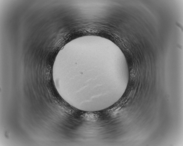 X0000094790464200712071232