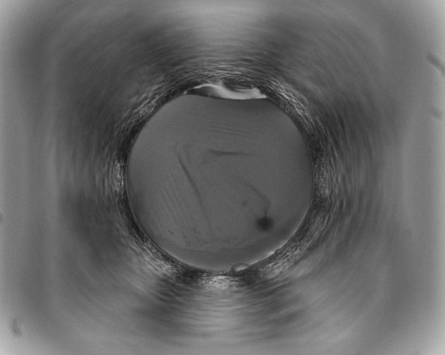 X0000094790467200712071232