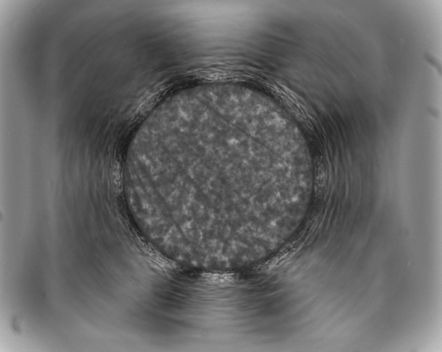 X0000094790469200712071232