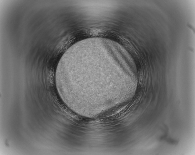 X0000094790470200712071232