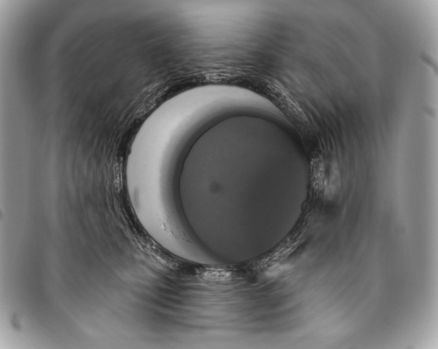 X0000094790471200712071232