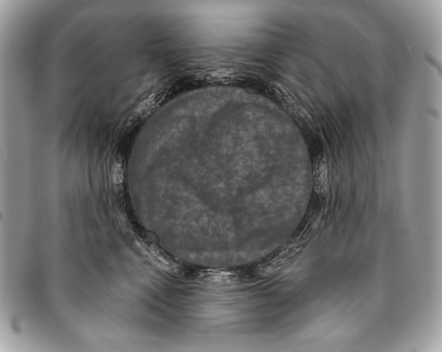 X0000094790472200712071232