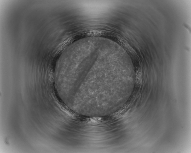 X0000094790474200712071232