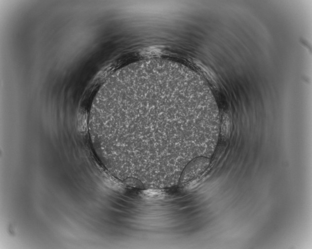 X0000094790477200712071232