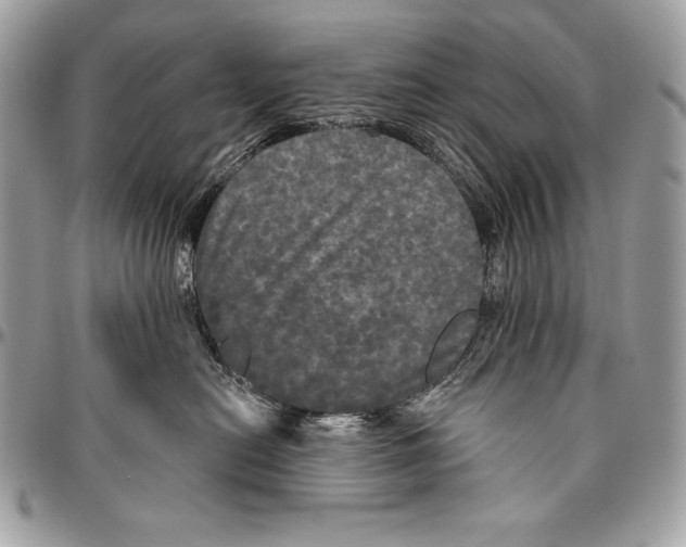 X0000094790478200712071232