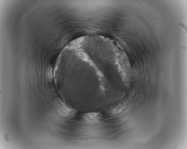 X0000094790479200712071232