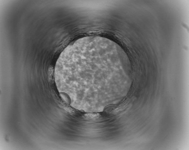 X0000094790480200712071232