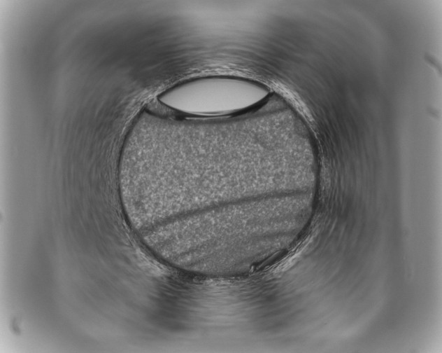 X0000094790481200712071232