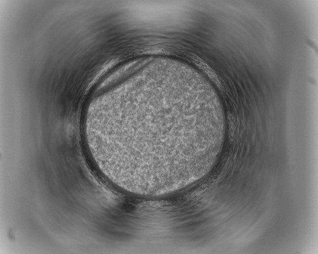 X0000094790482200712071232