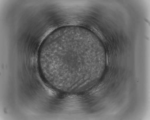 X0000094790483200712071232