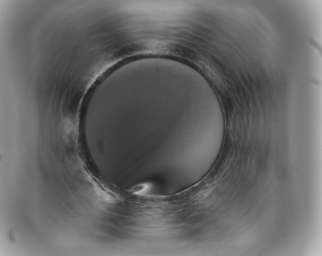 X0000094790484200712071232