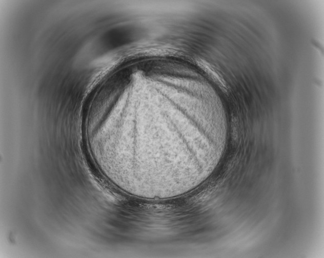 X0000094790486200712071232