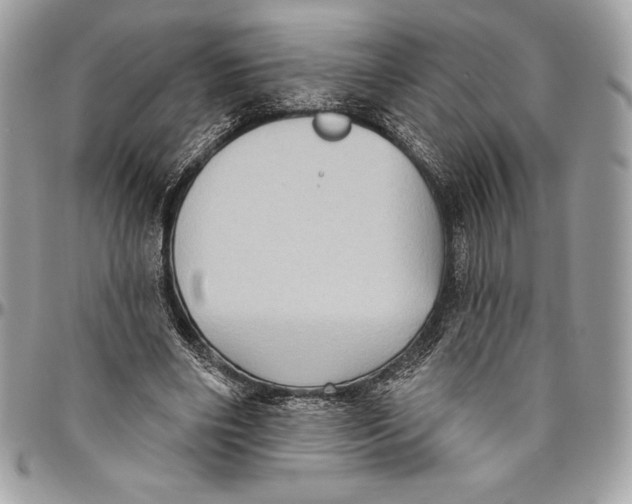 X0000094790490200712071232