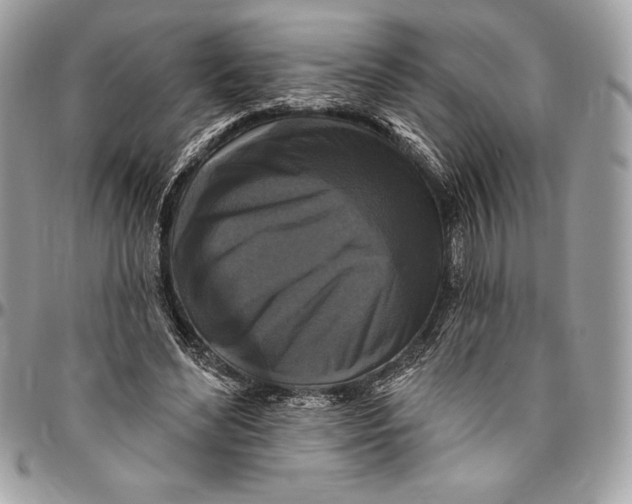 X0000094790492200712071232