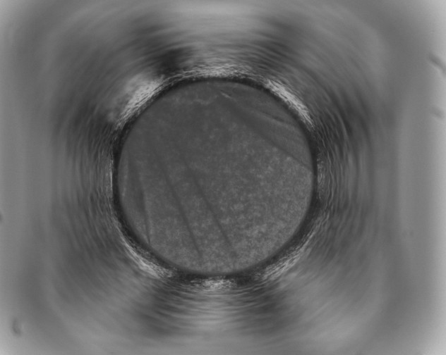 X0000094790493200712071232