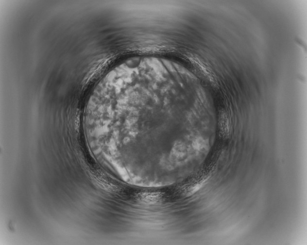 X0000094790495200712071232