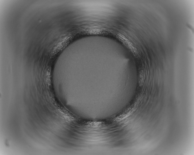 X0000094790497200712071232