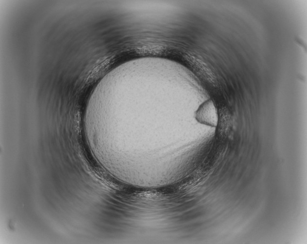 X0000094790498200712071232