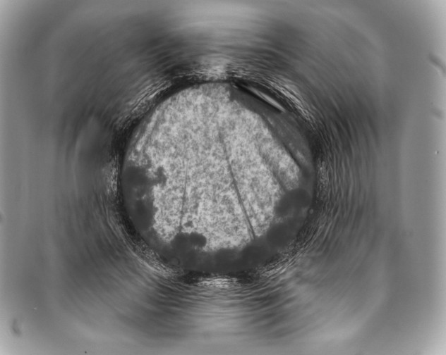 X0000094790499200712071232