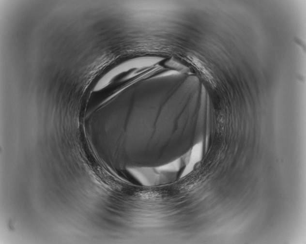 X0000094790500200712071232