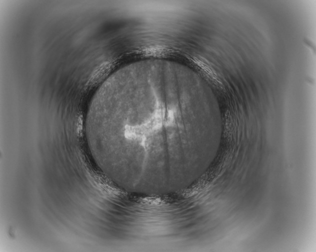 X0000094790502200712071231