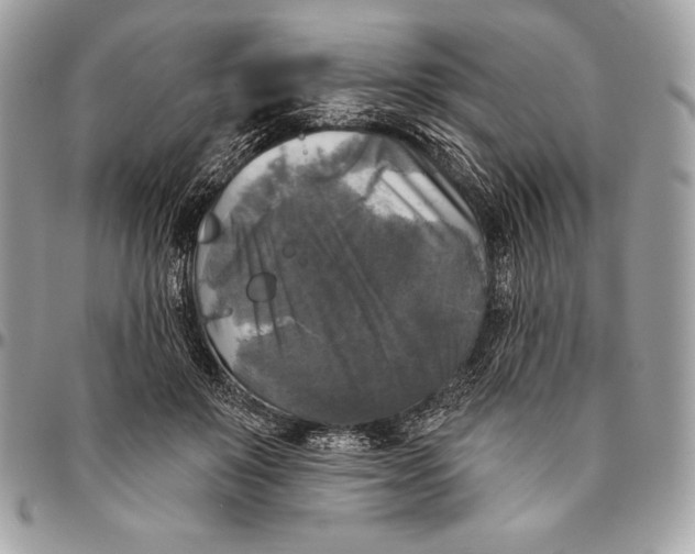 X0000094790503200712071231