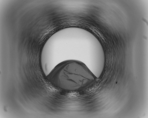 X0000094790505200712071231