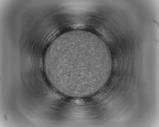 X0000094790506200712071231