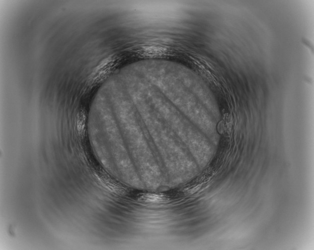 X0000094790507200712071231