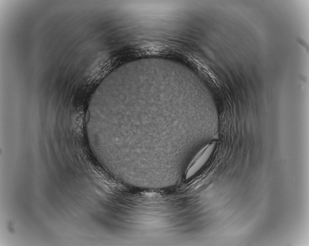 X0000094790509200712071231