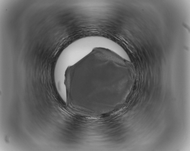 X0000094790516200712071231