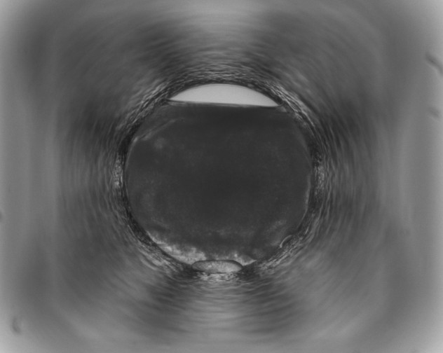 X0000094790517200712071231